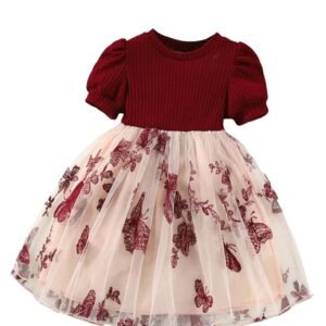 Girls Embroidery Pattern Cap Sleeve Dress