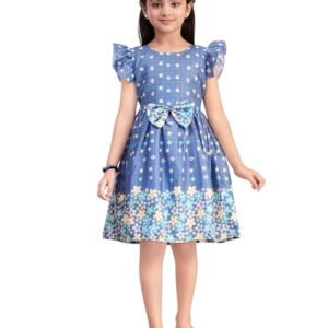 Girls Casual Wear Blue Colour Floral Print Cotton Frock